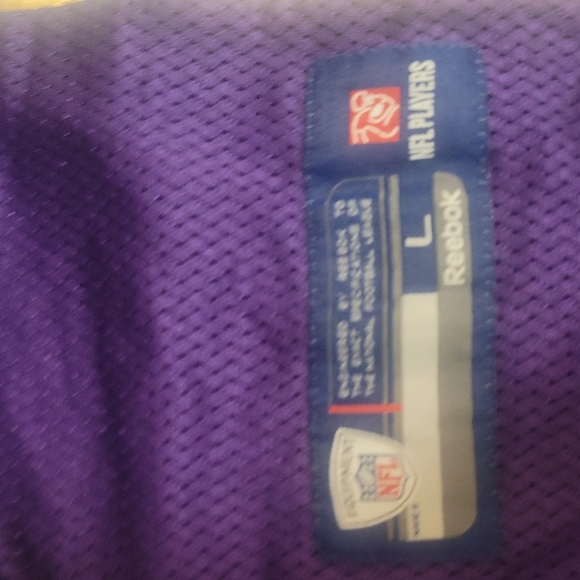 Autentic OFFICAL BRETT FAVRE VIKINGS JERSEY - Picture 2 of 5